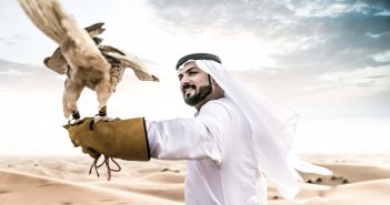Qatar Photos 1 The Desert with Falcon Bird, Qatar