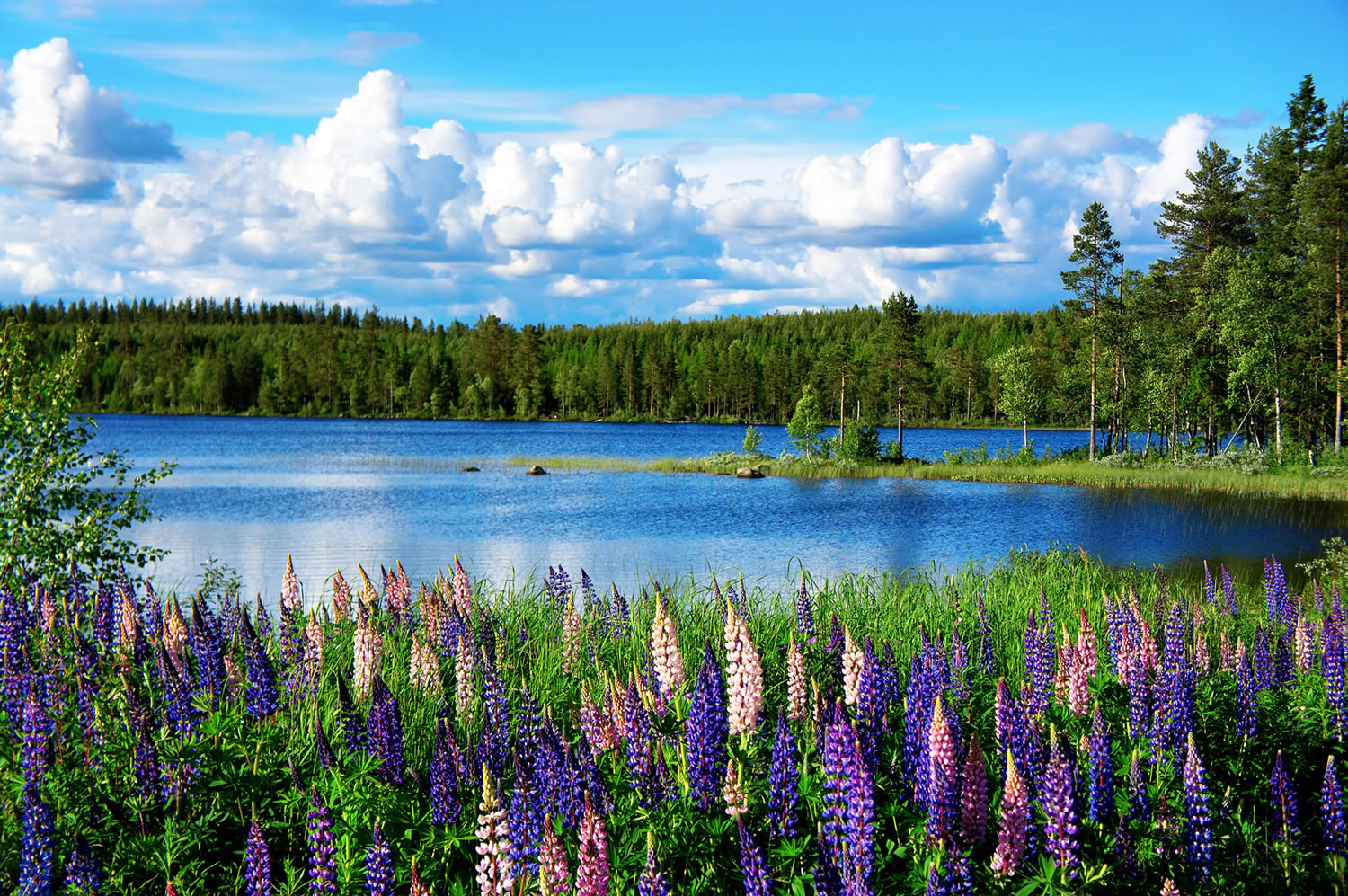 Sweden Guide of the World