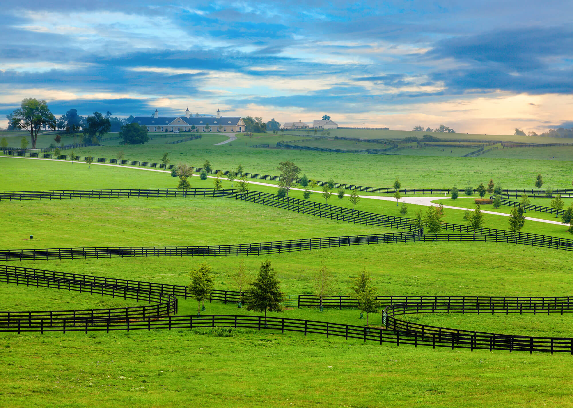 Horse farm in Kentucky