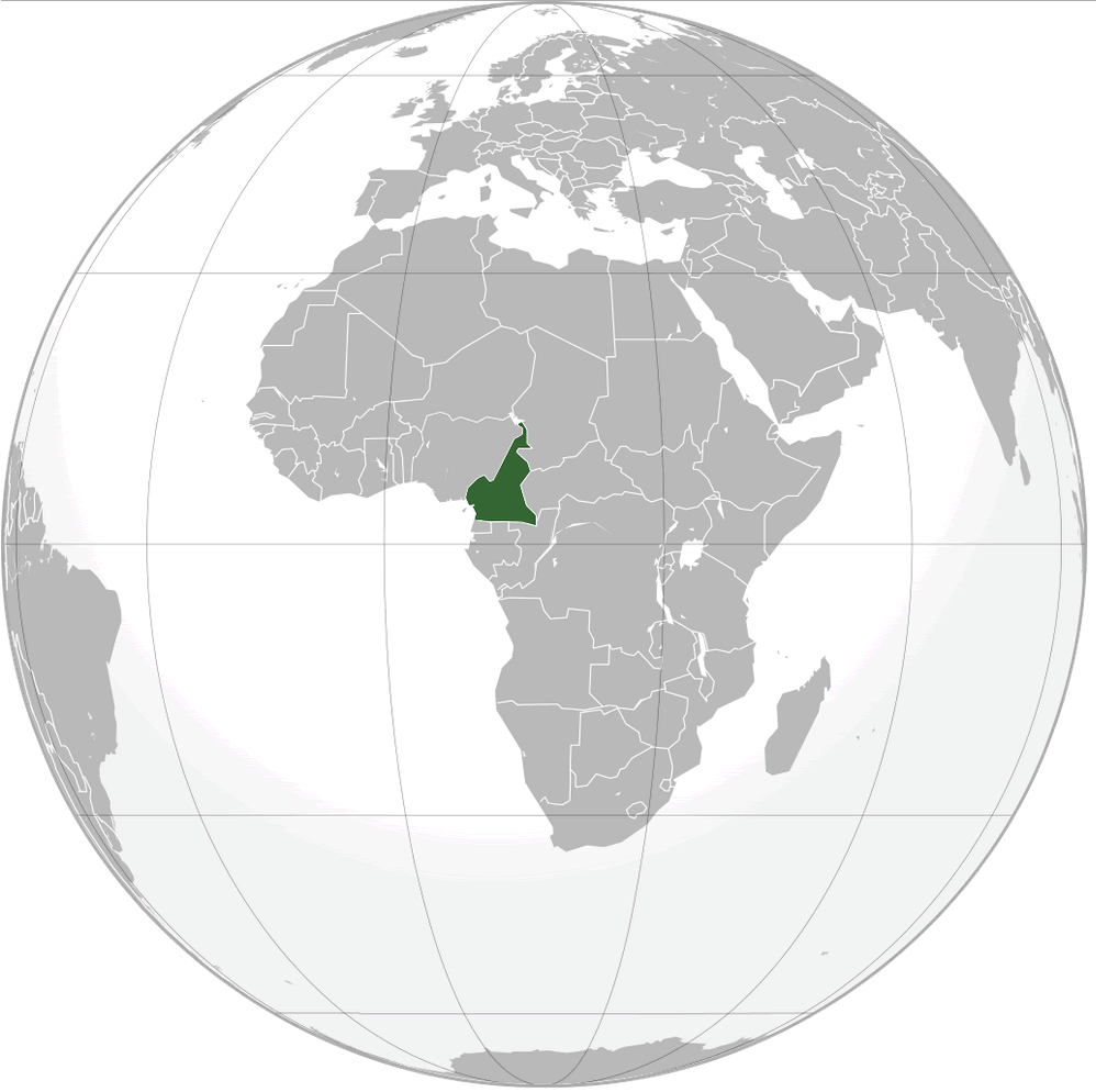 where is cameroon on the world map