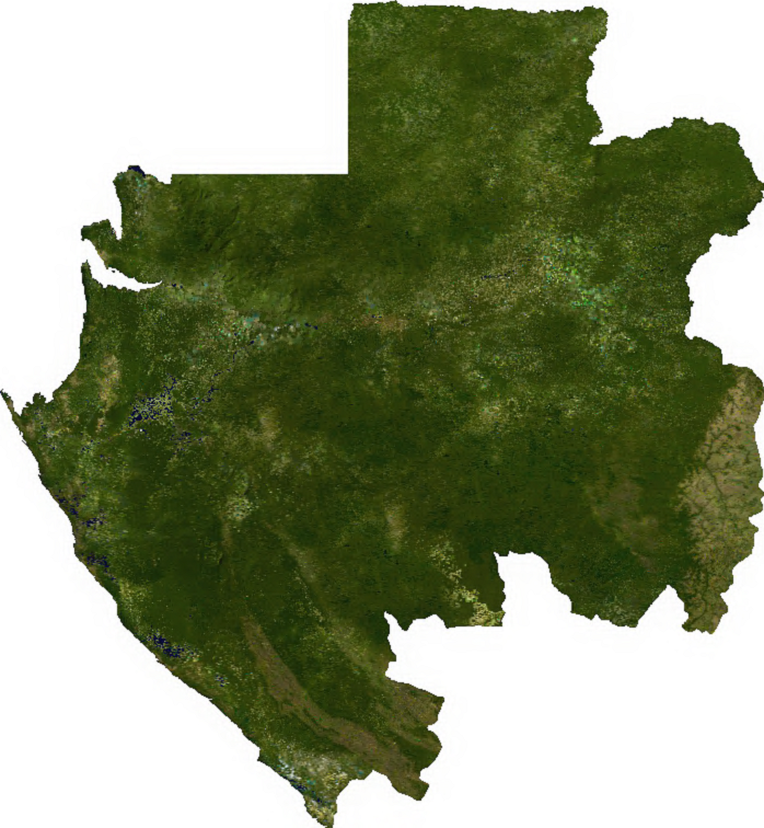Gabon satellite map
