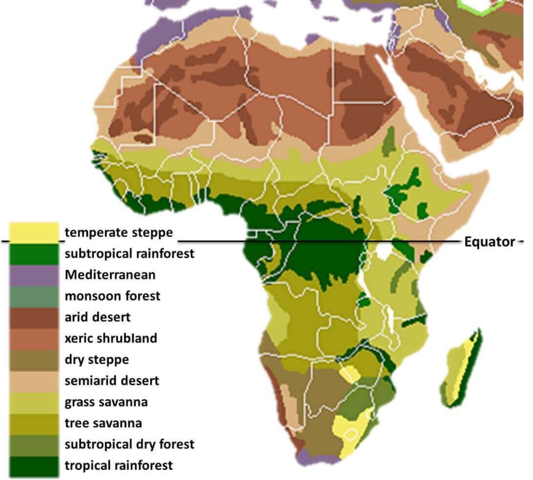 Vegetation map of Africa