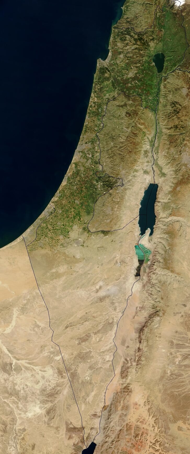 Satellite image of Israel in January 2003