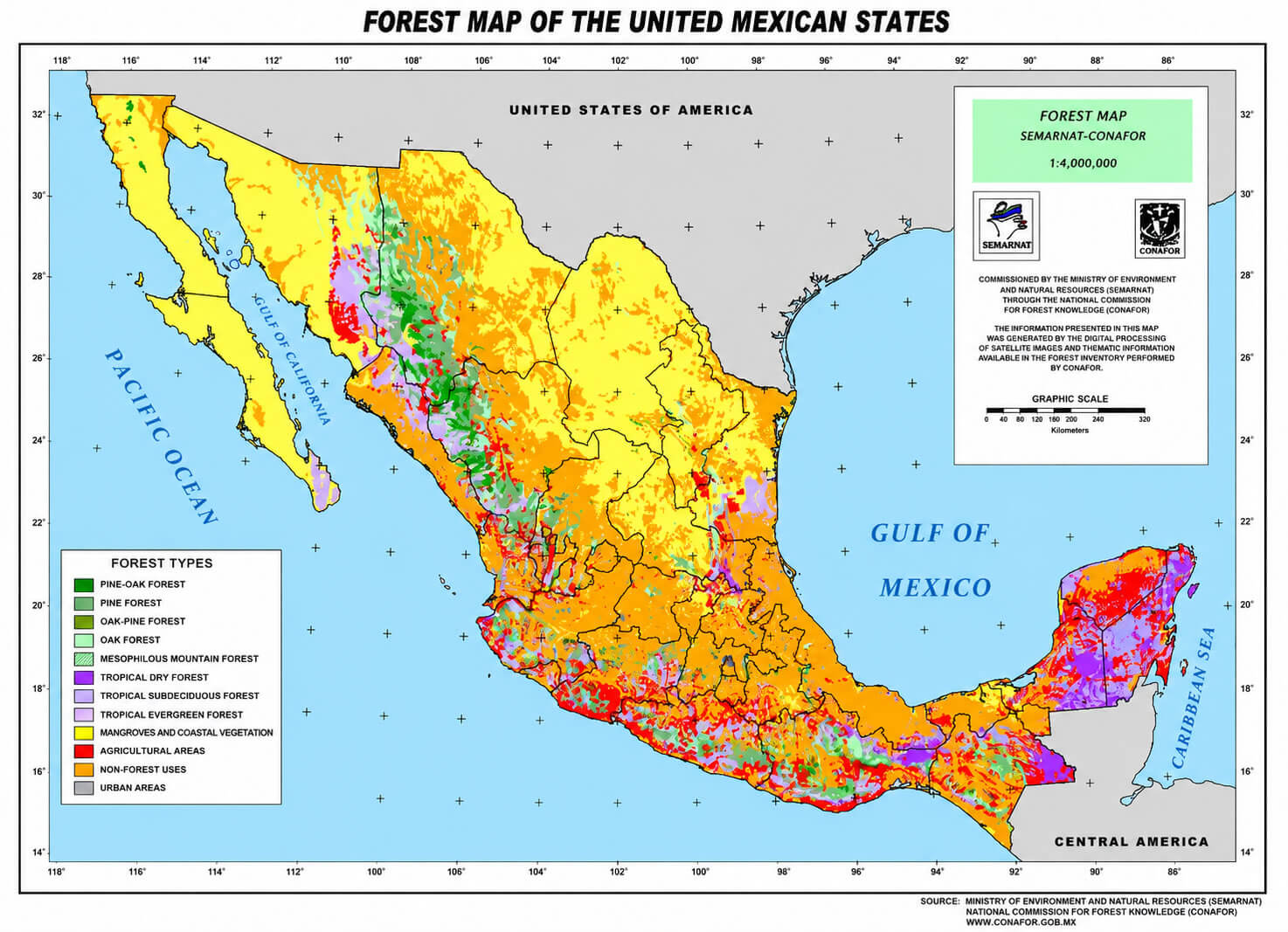 Mexico forest and vegetation map