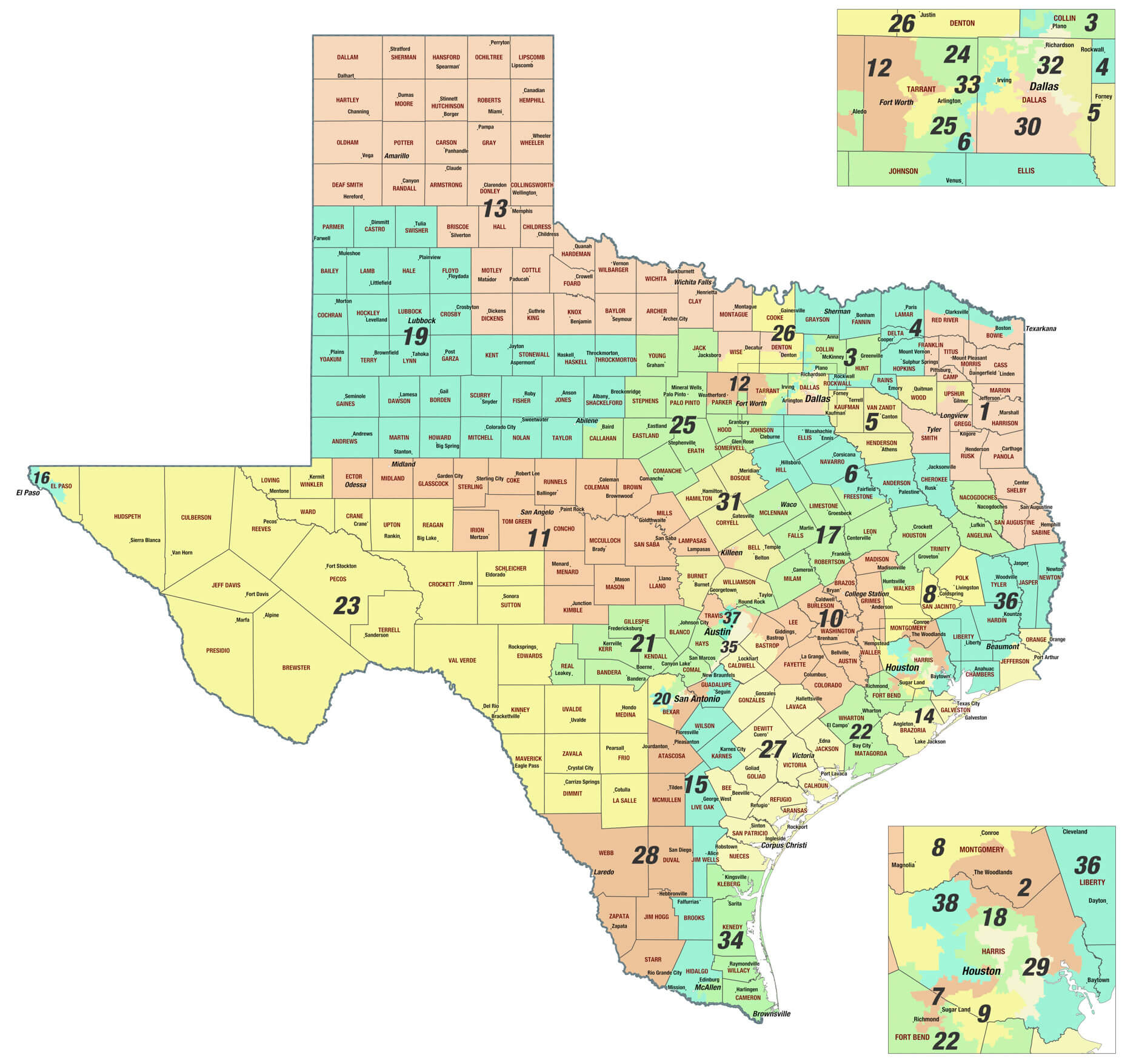 Texas districts and counties wall map