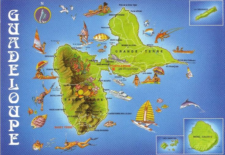 Illustrated map of Guadeloupe showing its main islands, key cities, local wildlife, and maritime activities.