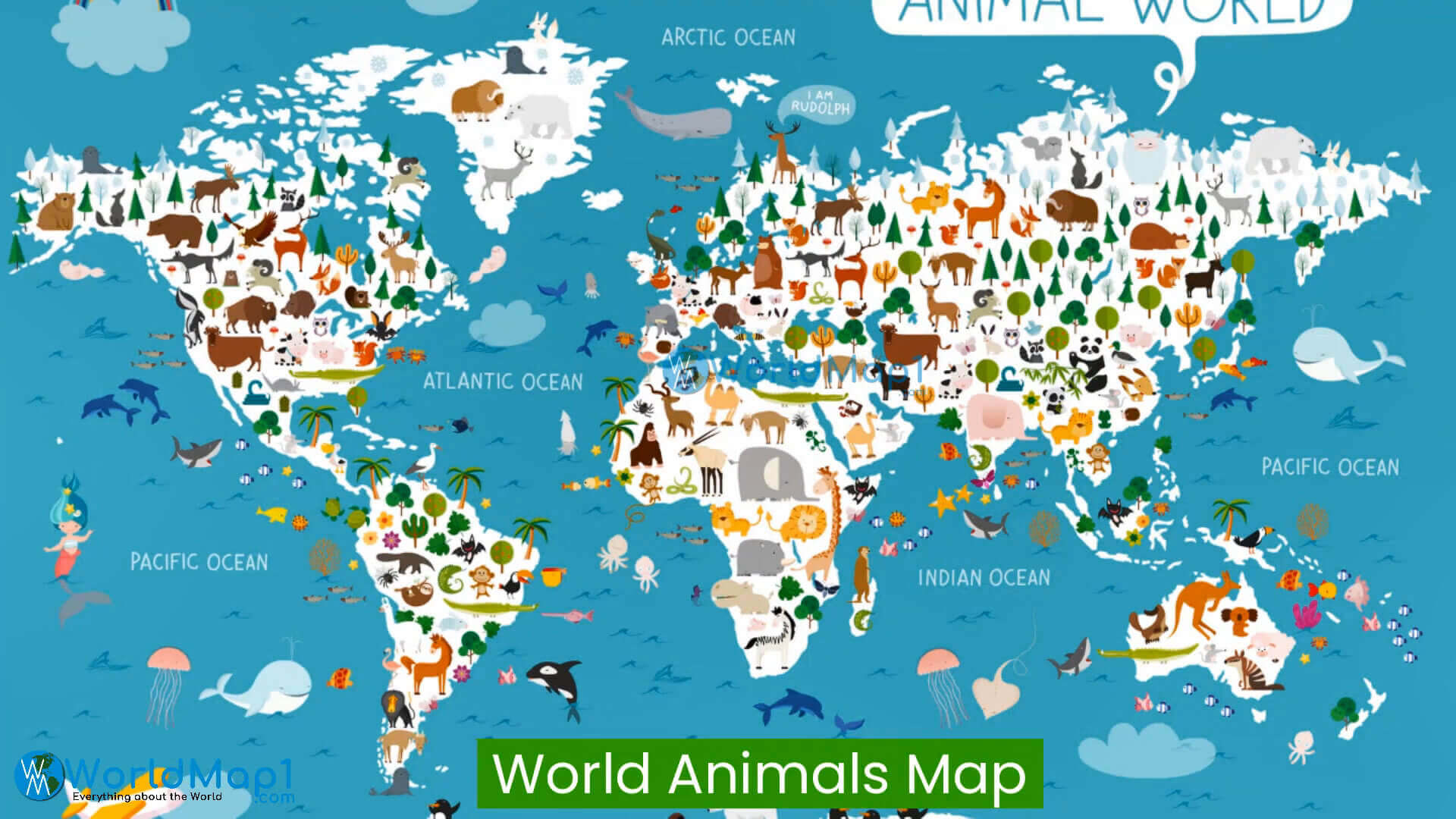World Countries animals map
