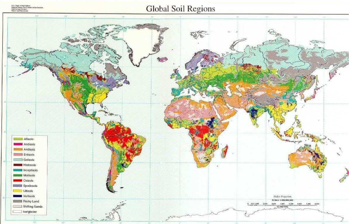 World geography soil map