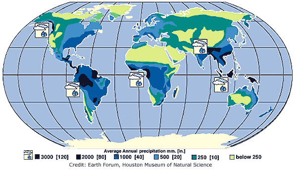 World Precipitation Map