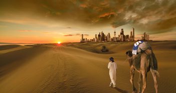 Camel Walking Kuwait City