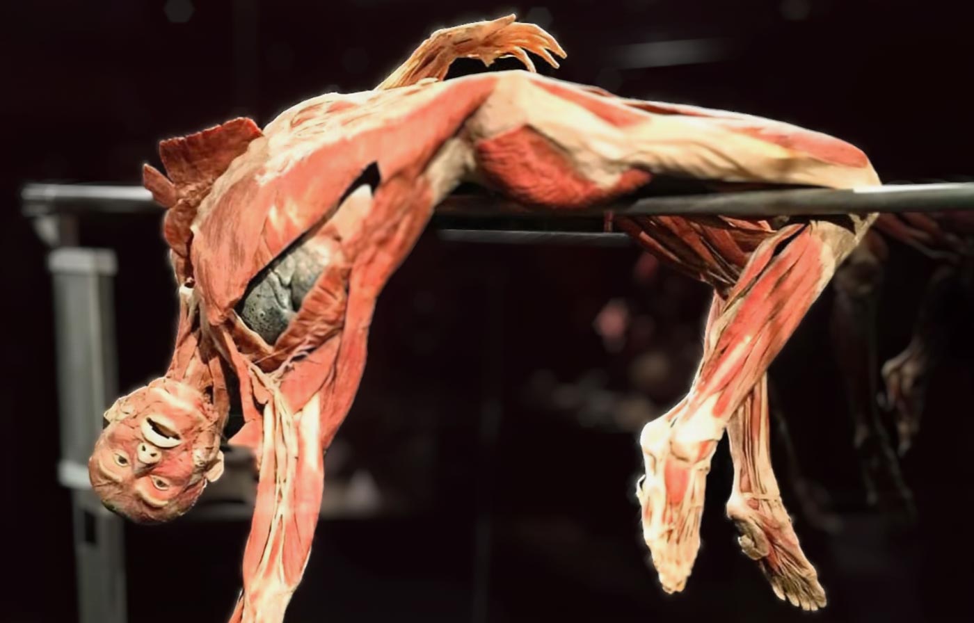 Body Worlds in Amsterdam