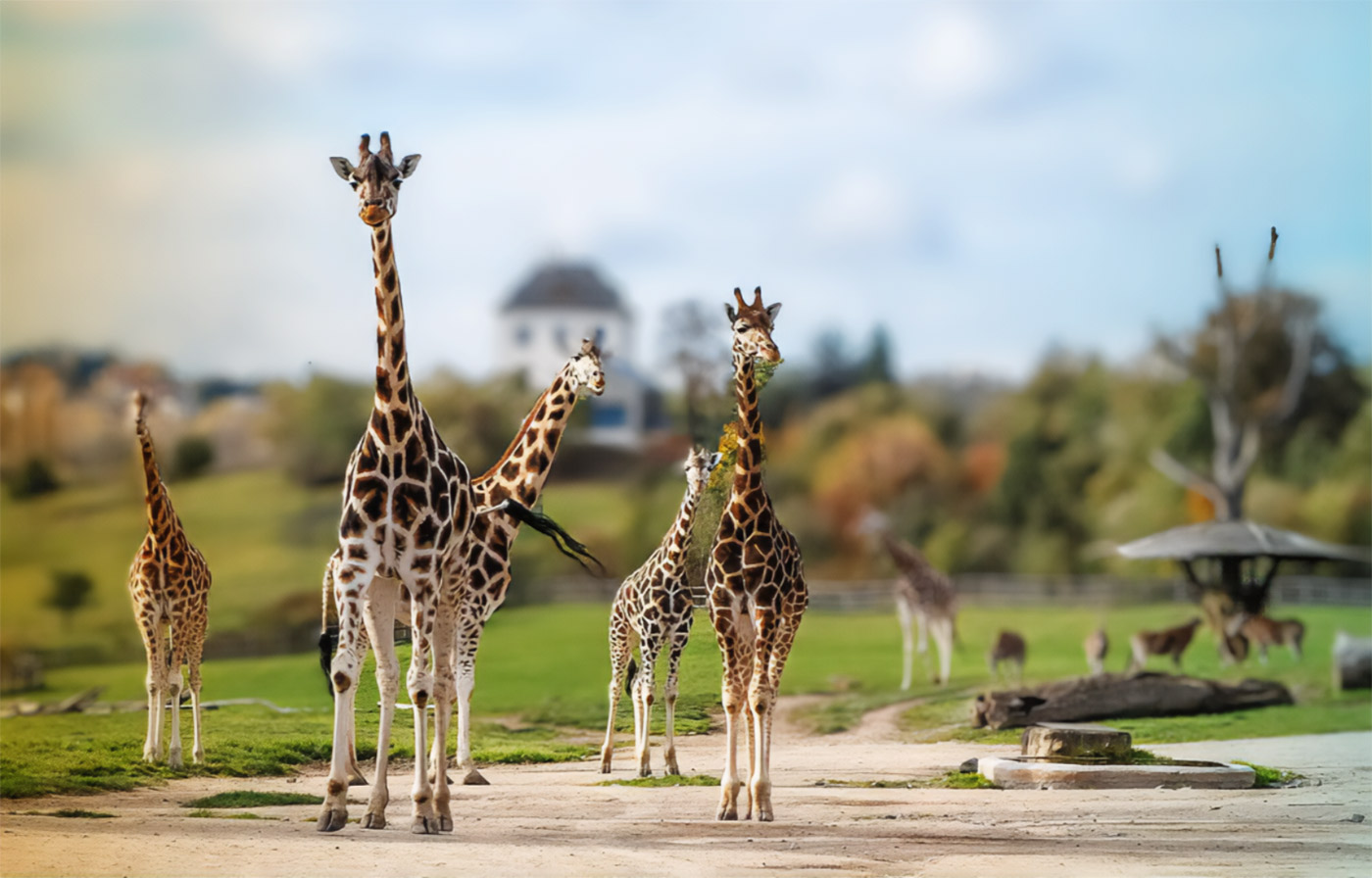 Prague Zoo