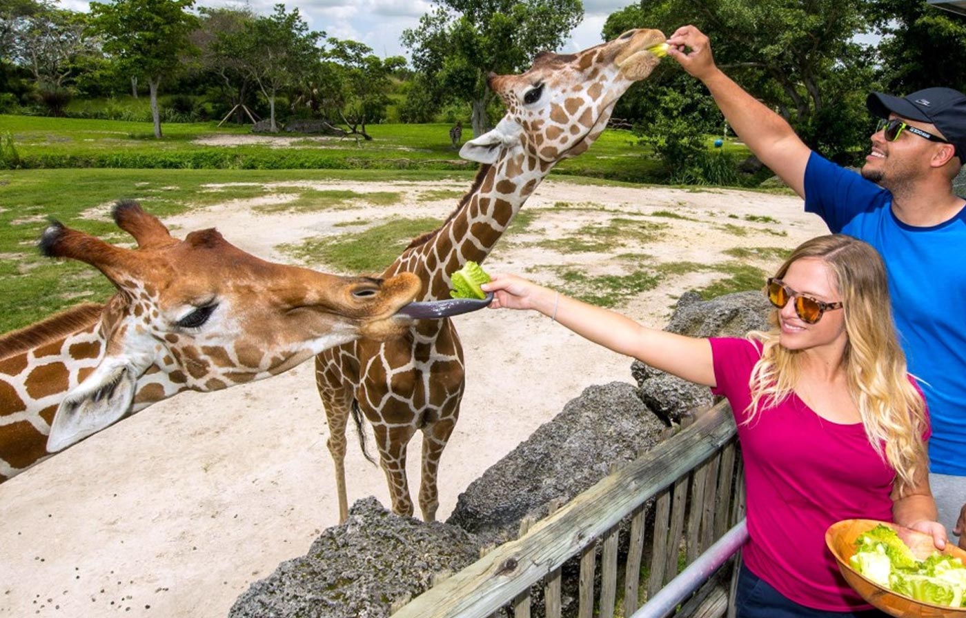 Zoo Miami