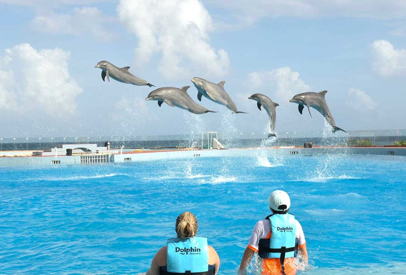 Dolphin Discovery Punta Cana