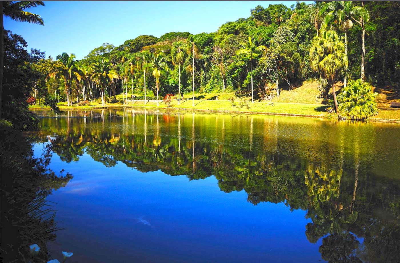 Jardim Botânico de São Paulo