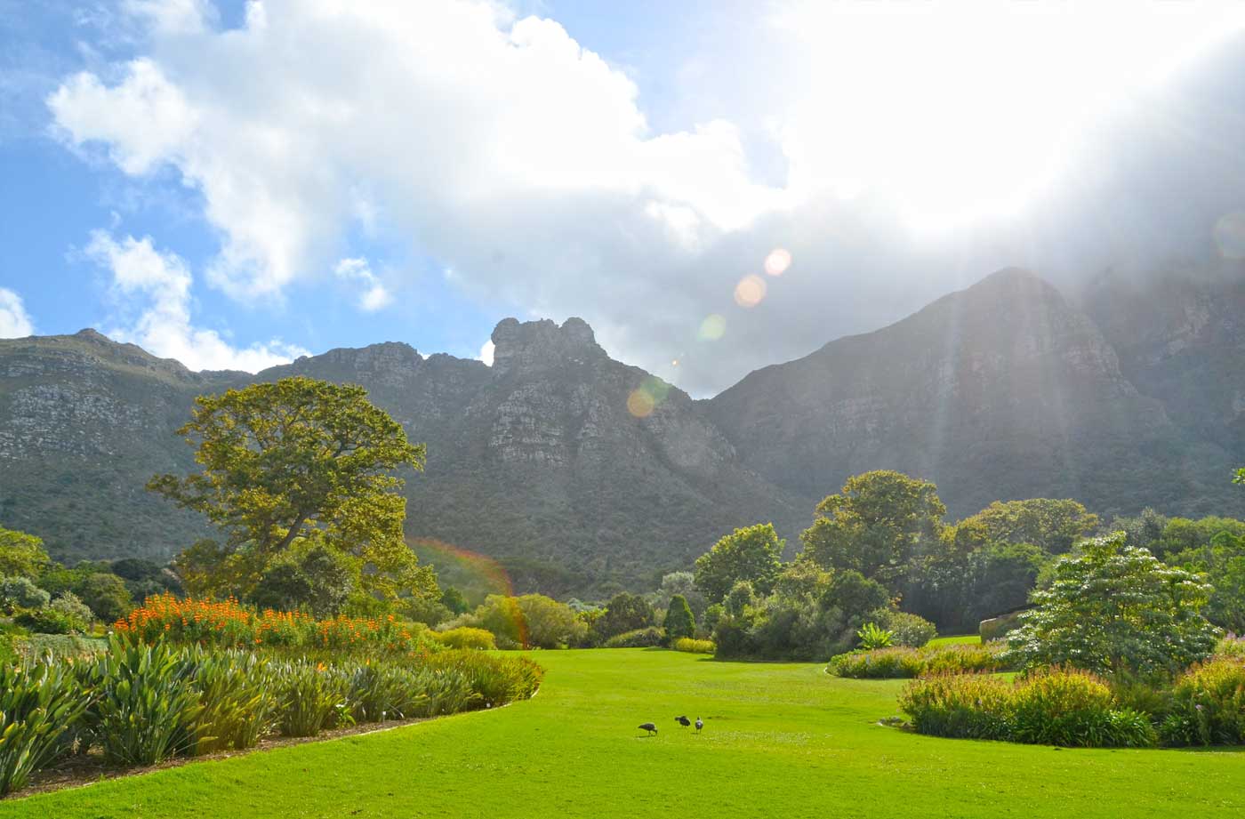 Kirstenbosch National Botanical Garden