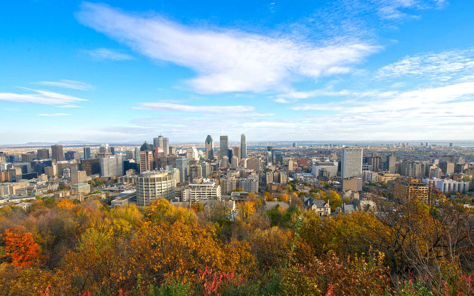 Montreal's Top 10 Best Can't-Miss Experiences for Tourists - Guide of ...
