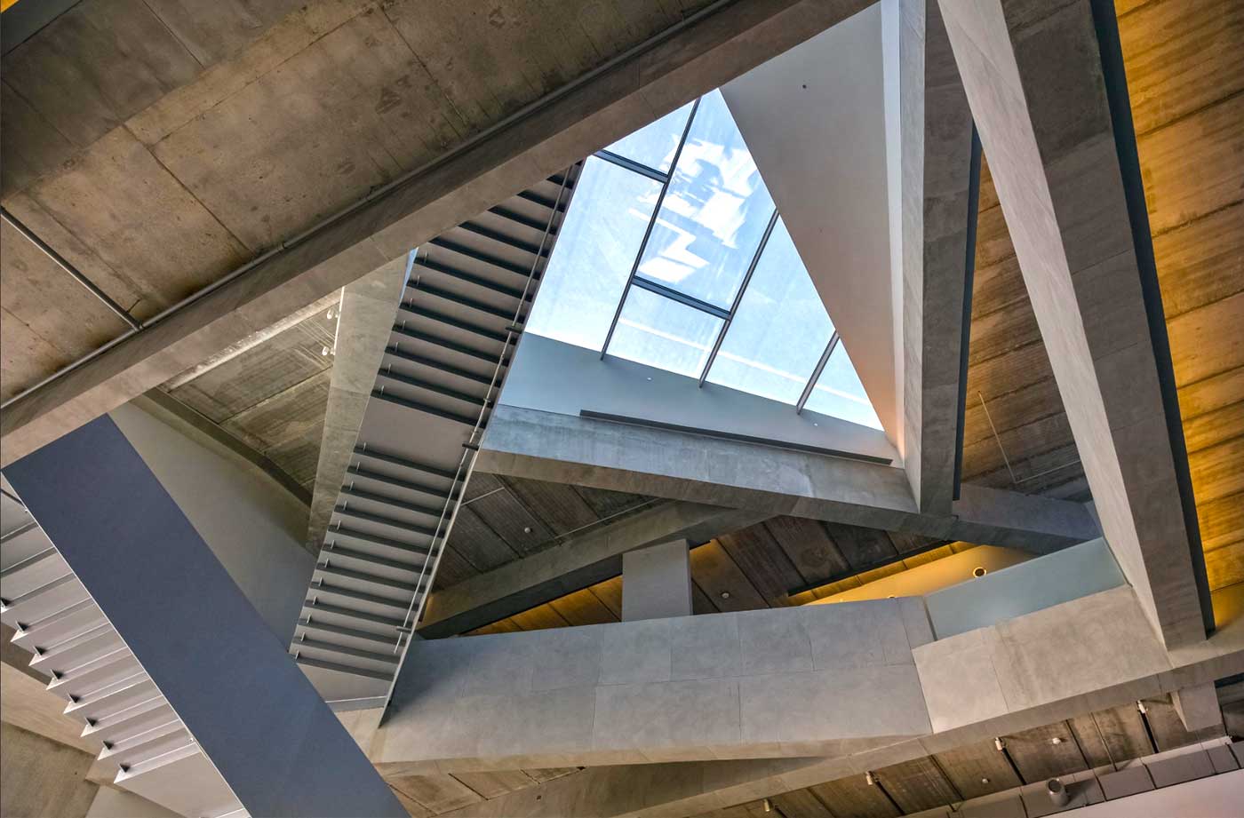 Museum of Fine Arts, Houston
