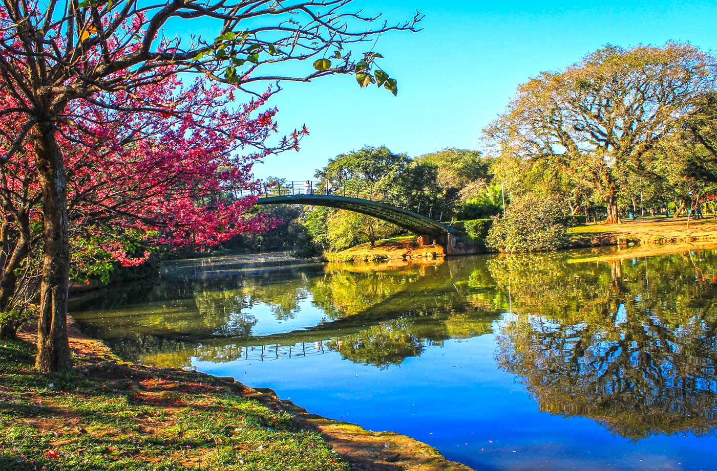 Parque Ibirapuera