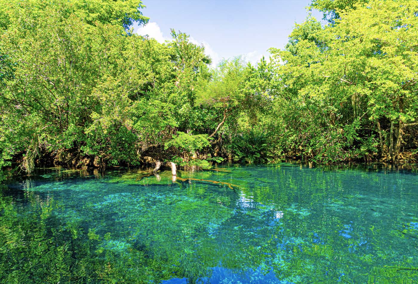 Reserva Ecológica Ojos Indígenas