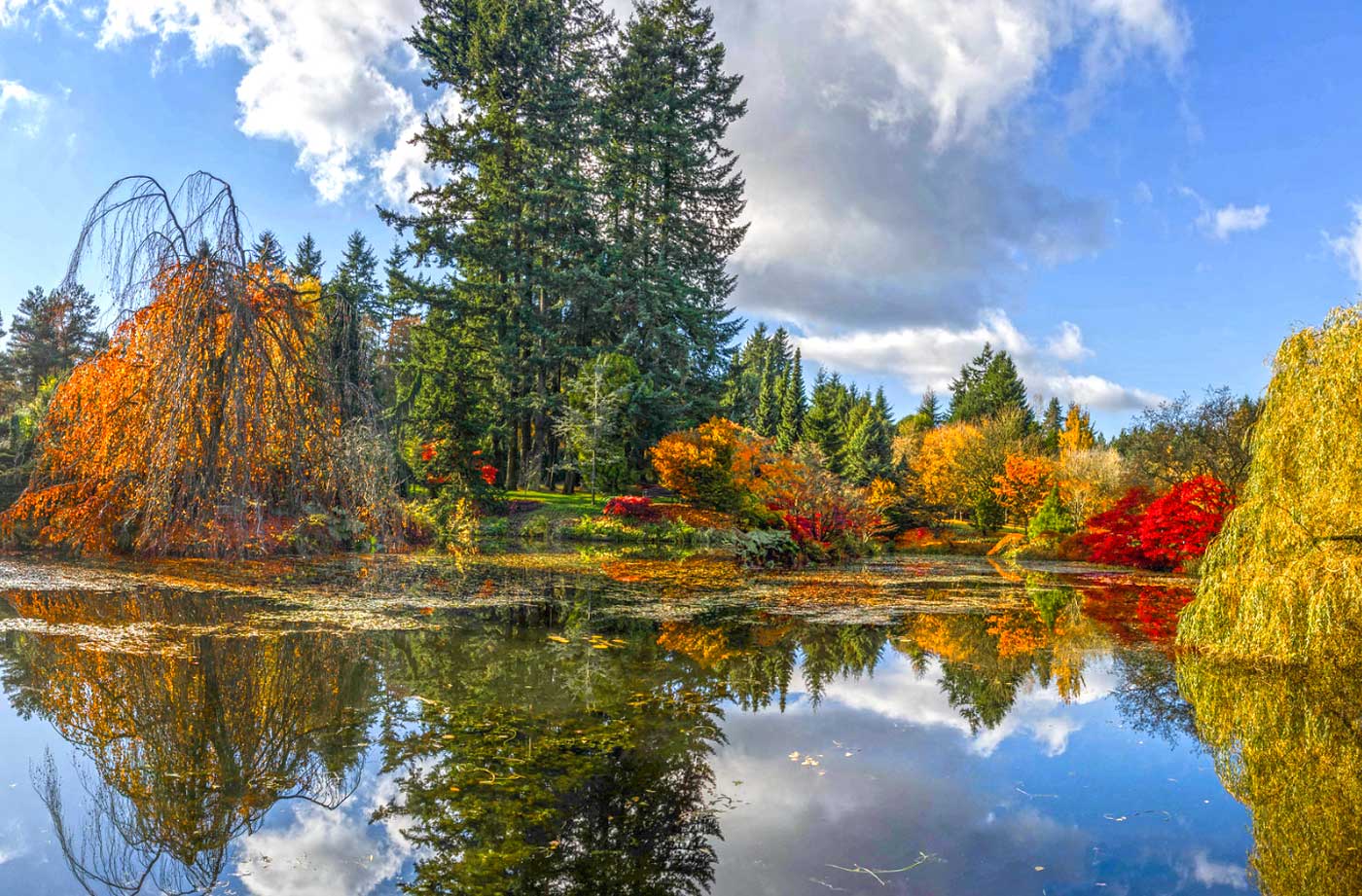 VanDusen Botanical Garden