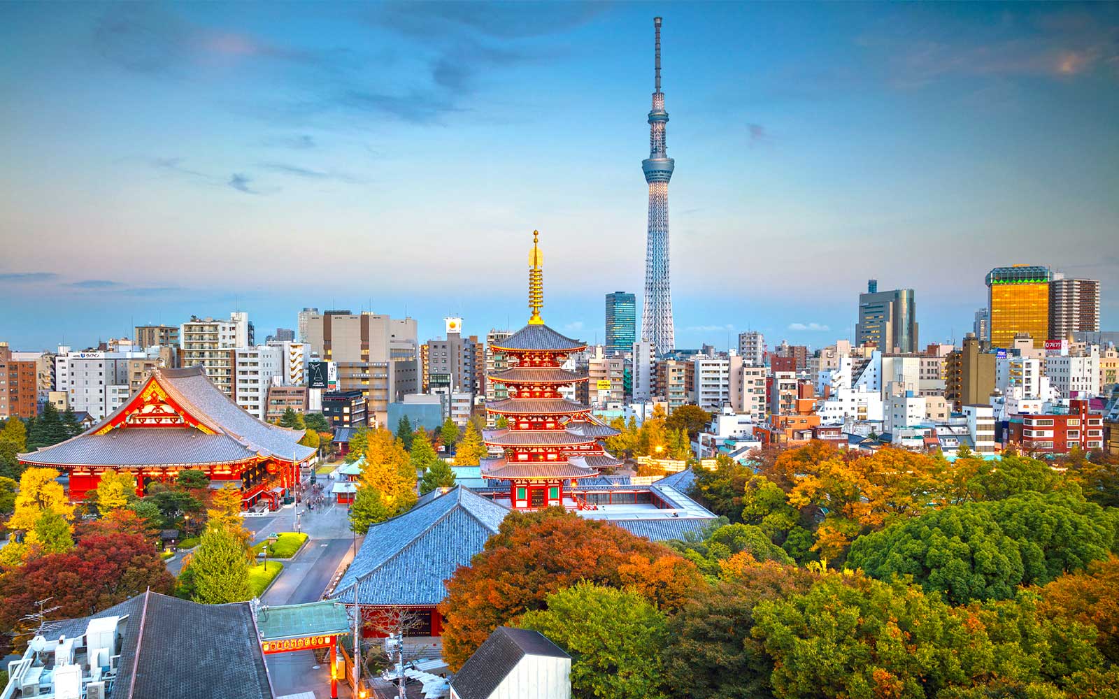 10 Largest Cities in the World: Urban Giants and Their Stories - Guide ...