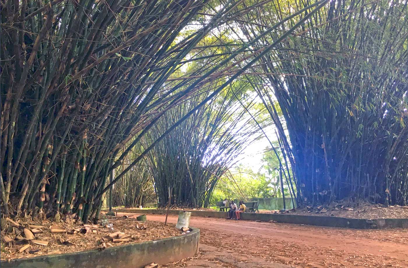 Jardin Botanique