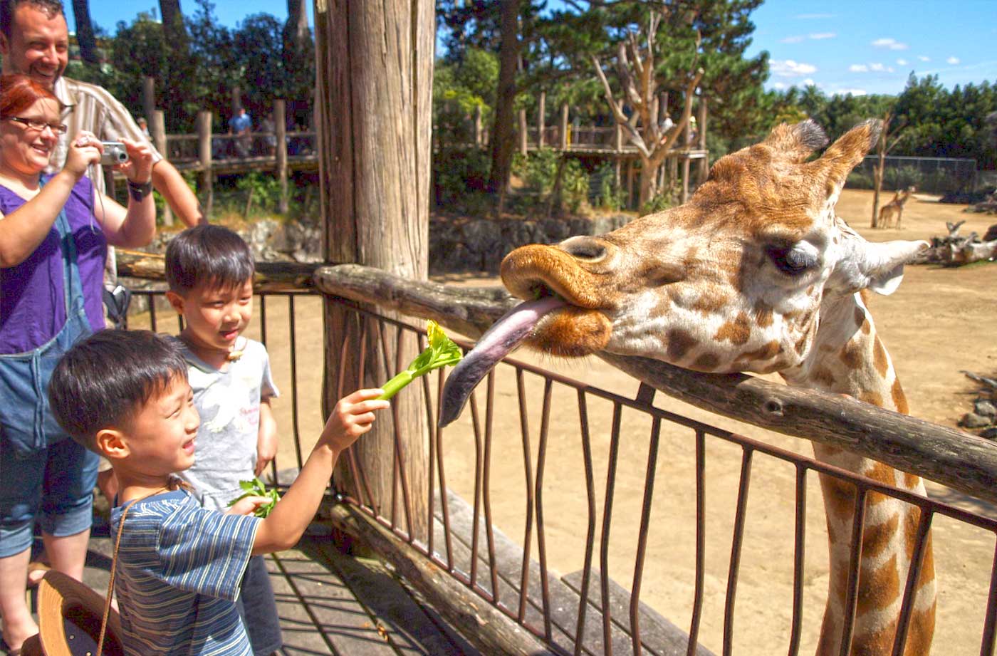 Auckland Zoo