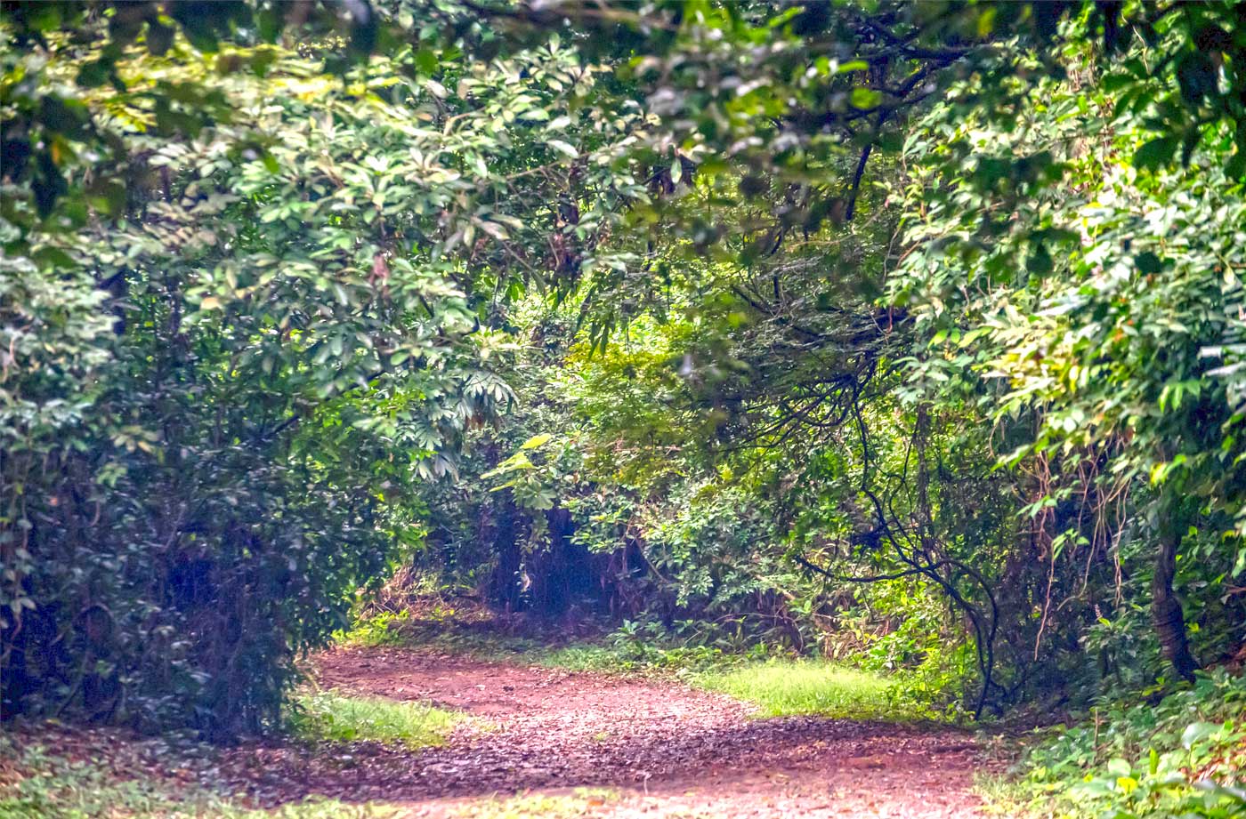 Banco National Park (Parc du Banco)