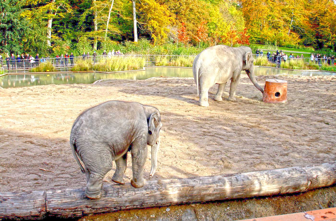 Copenhagen ZOO