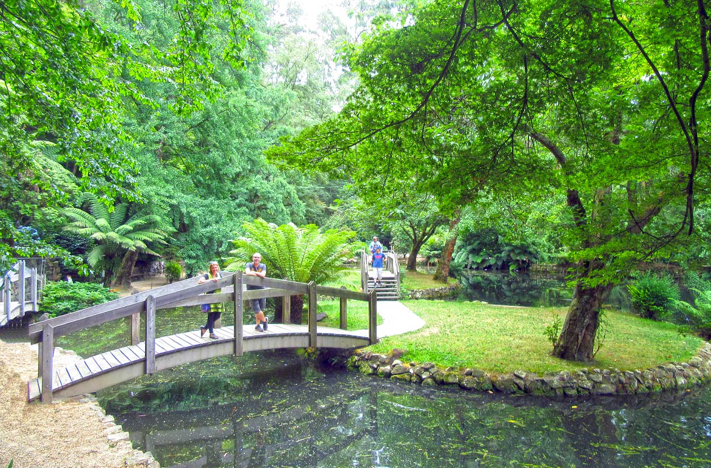 Dandenong Ranges National Park