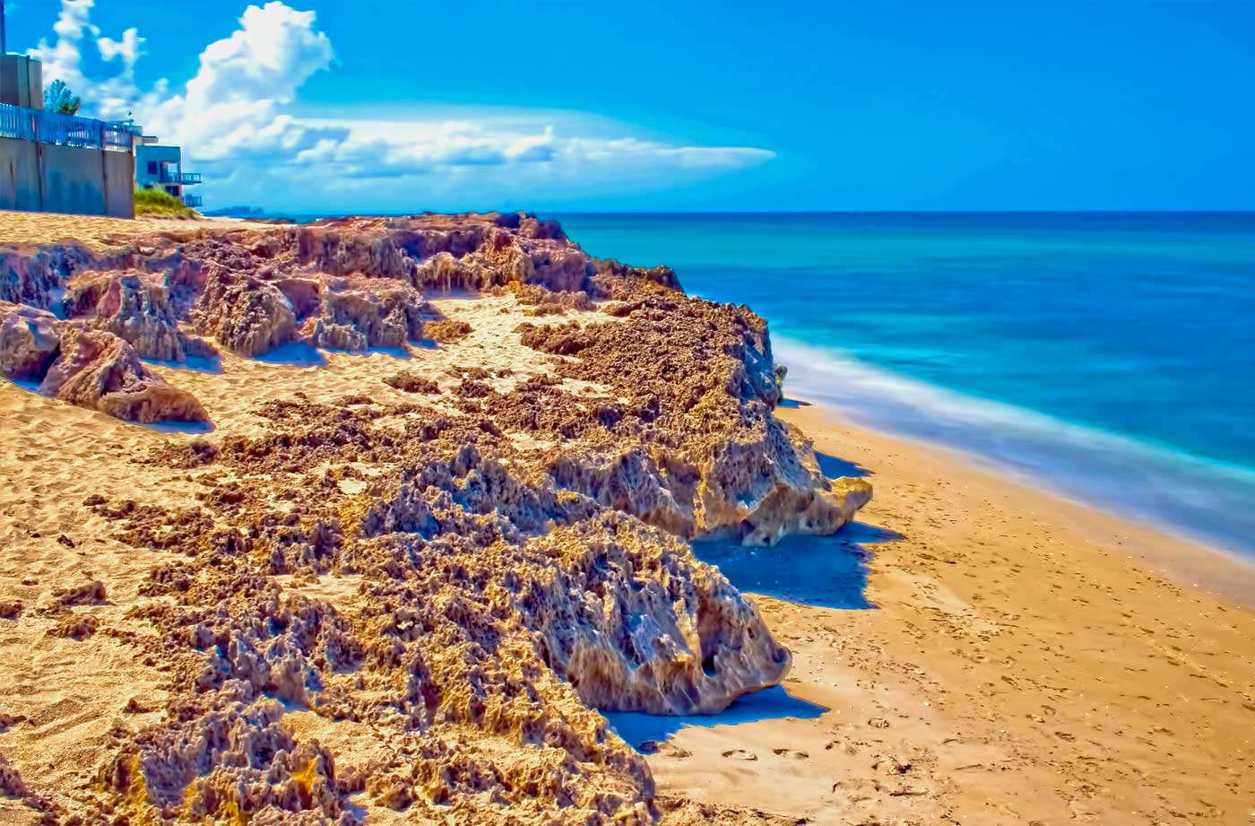 Florida's Geology - The St. Lucie Rocks, Anastasia limestone