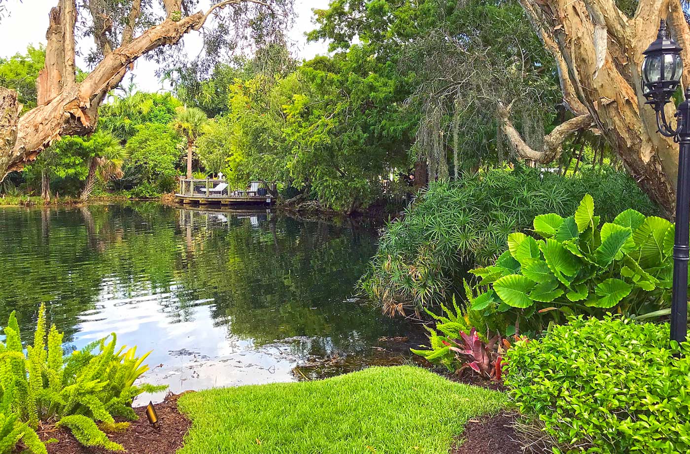 Florida's Natural Landscape The Ecological Tapestry of the Sunshine State