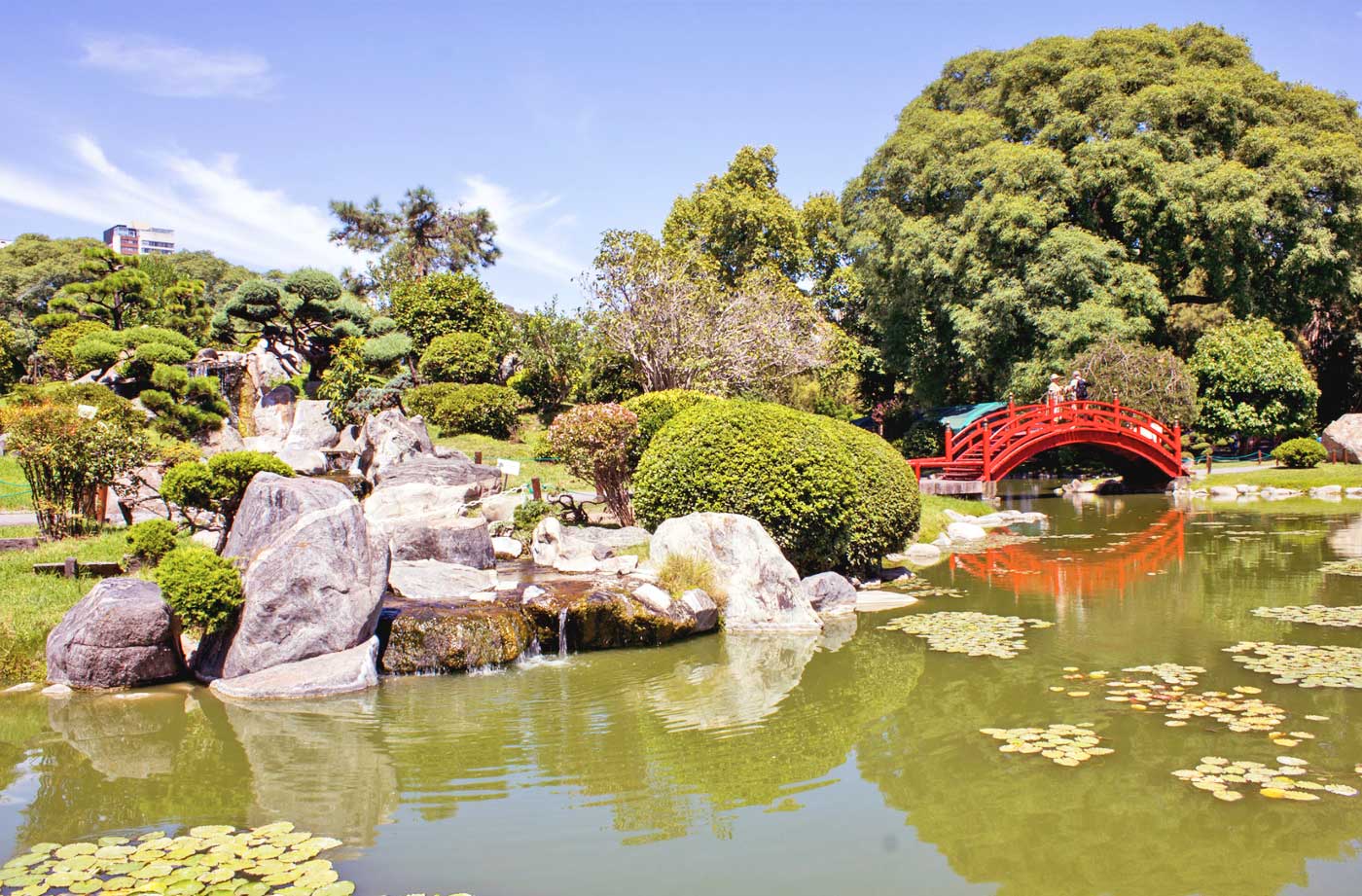 Jardin Japones