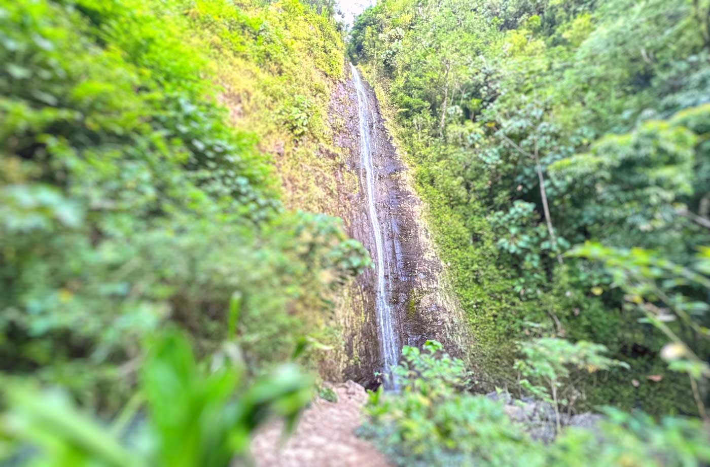 Manoa Falls