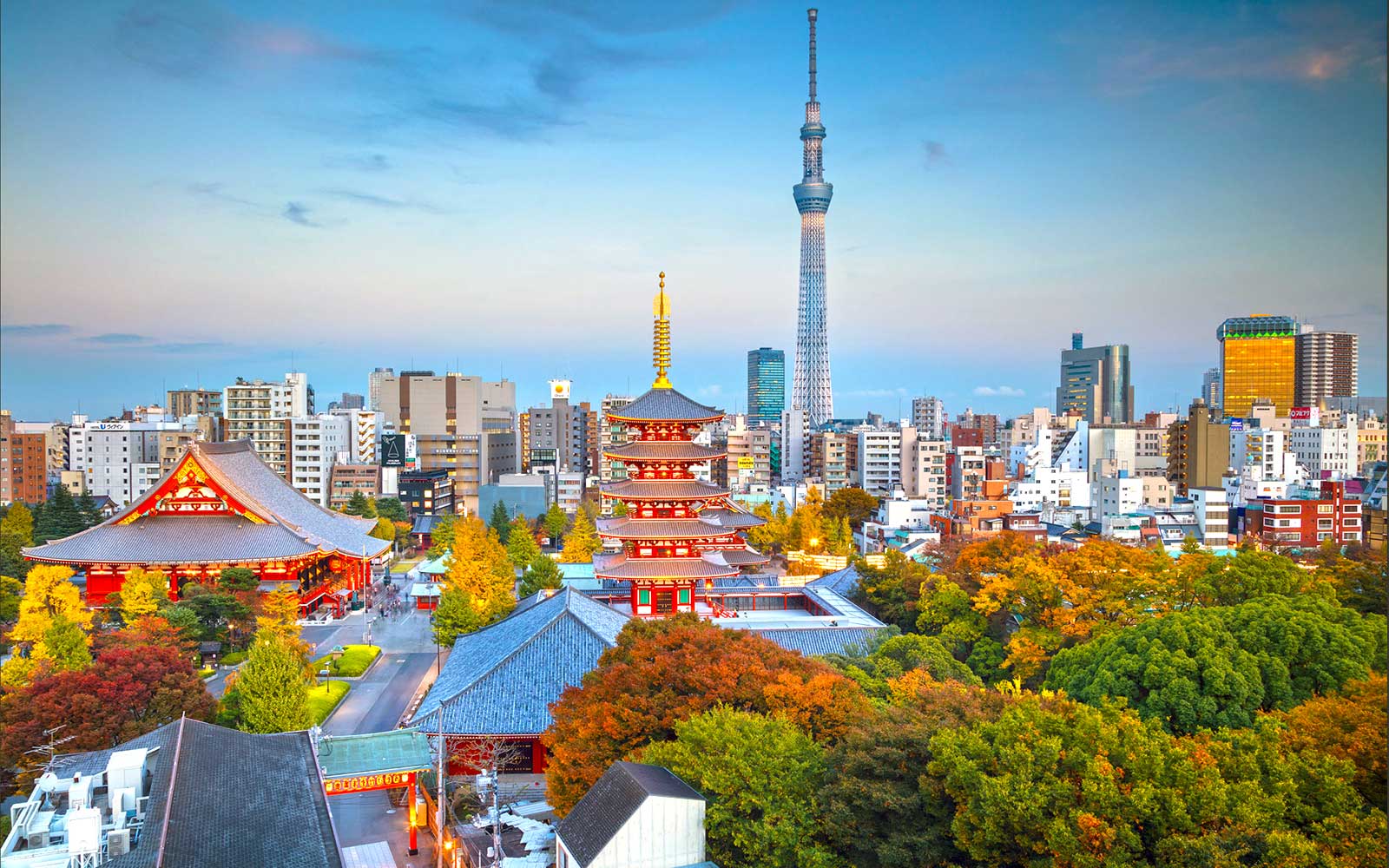 Tokyo City View