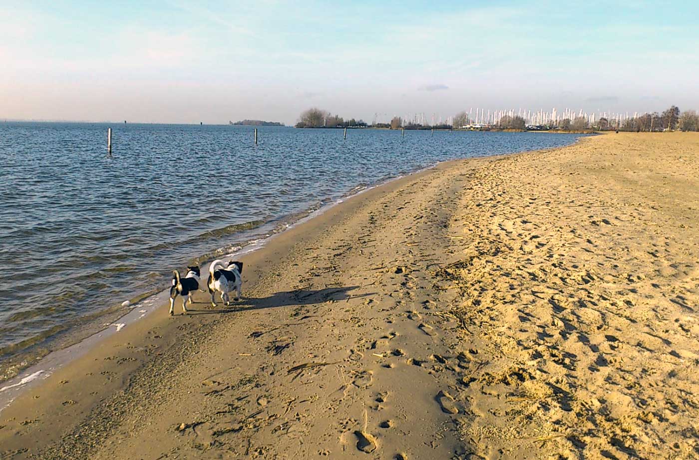 Almere Beach