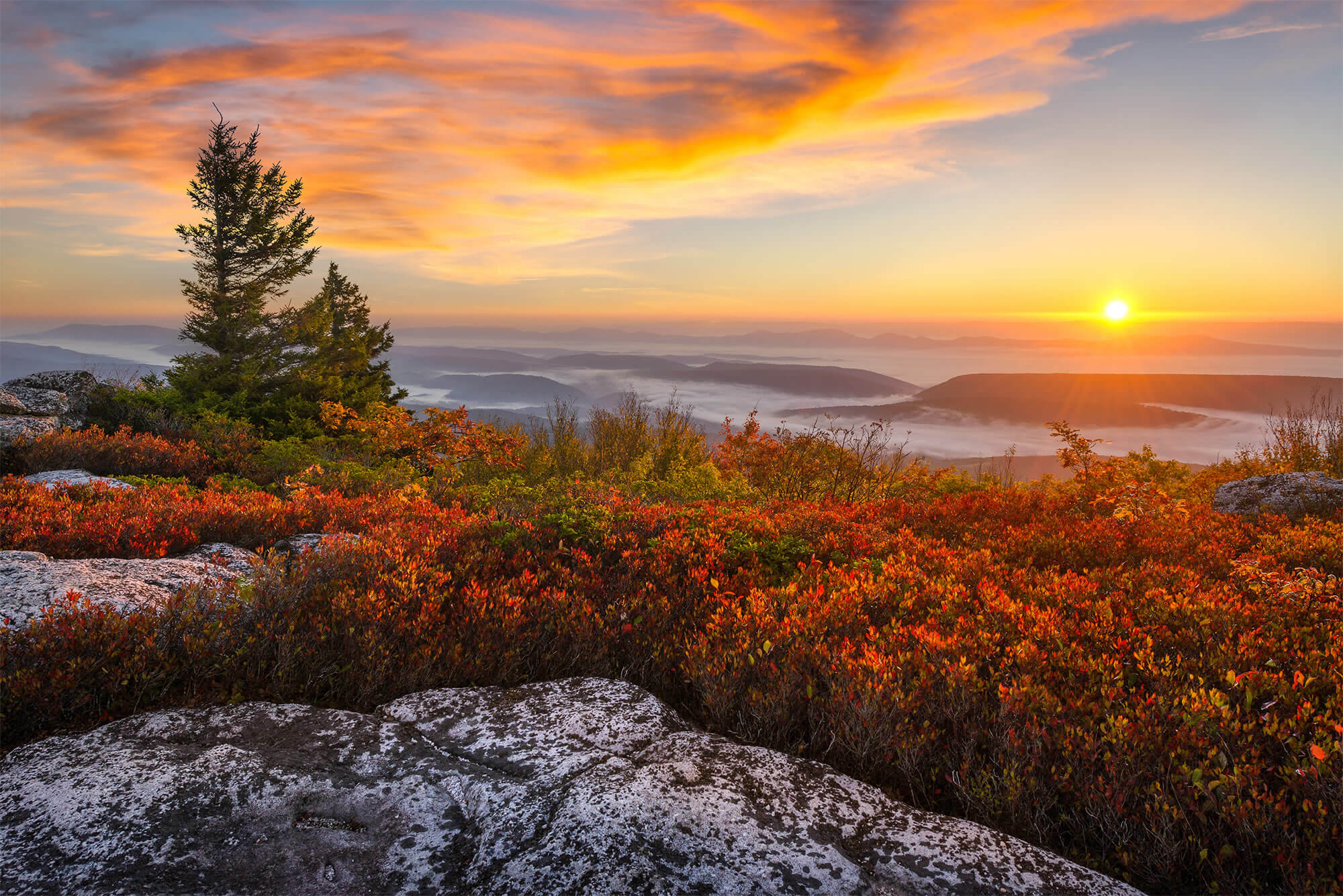 Bear Rocks Virginia