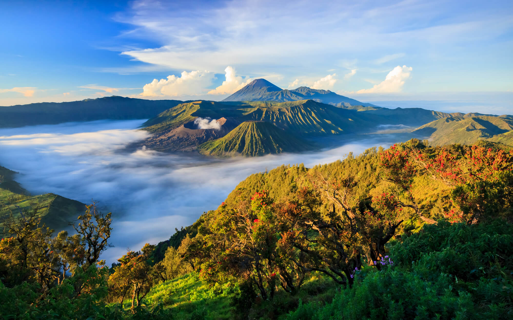 Bromo Volcano, Tengger Semeru National Park