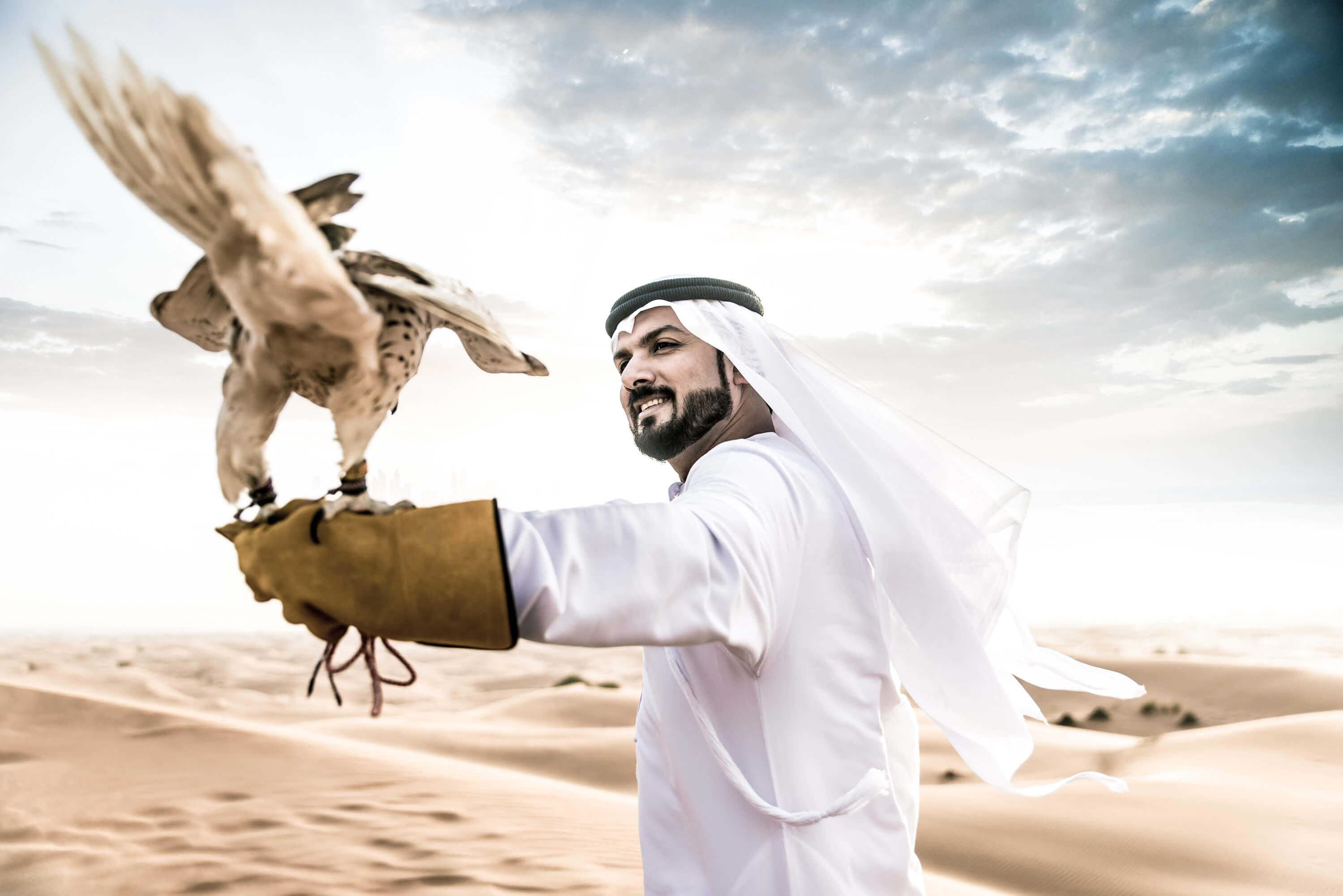 The Desert with Falcon Bird, Qatar