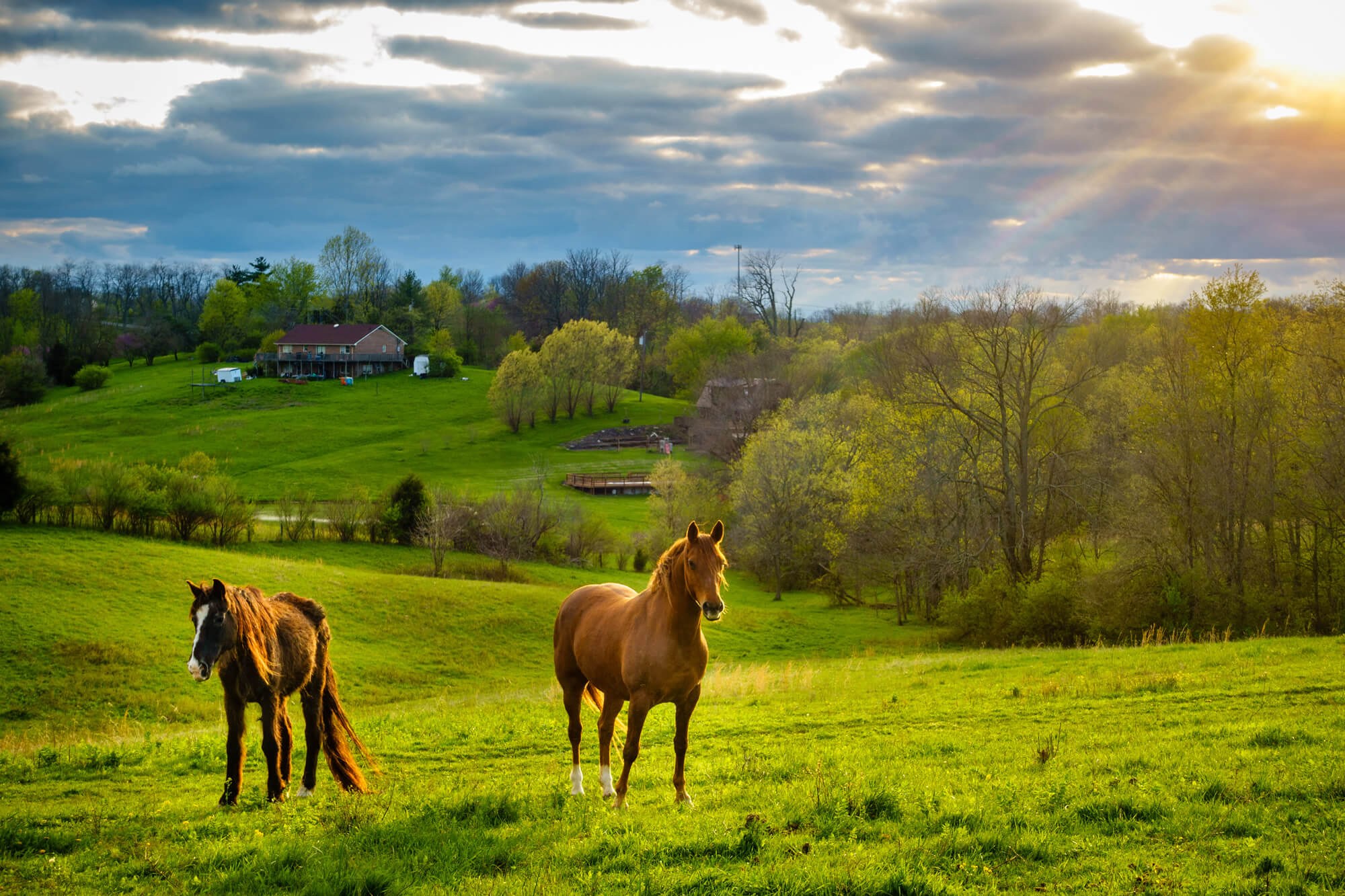 a farm in Central Kentucky