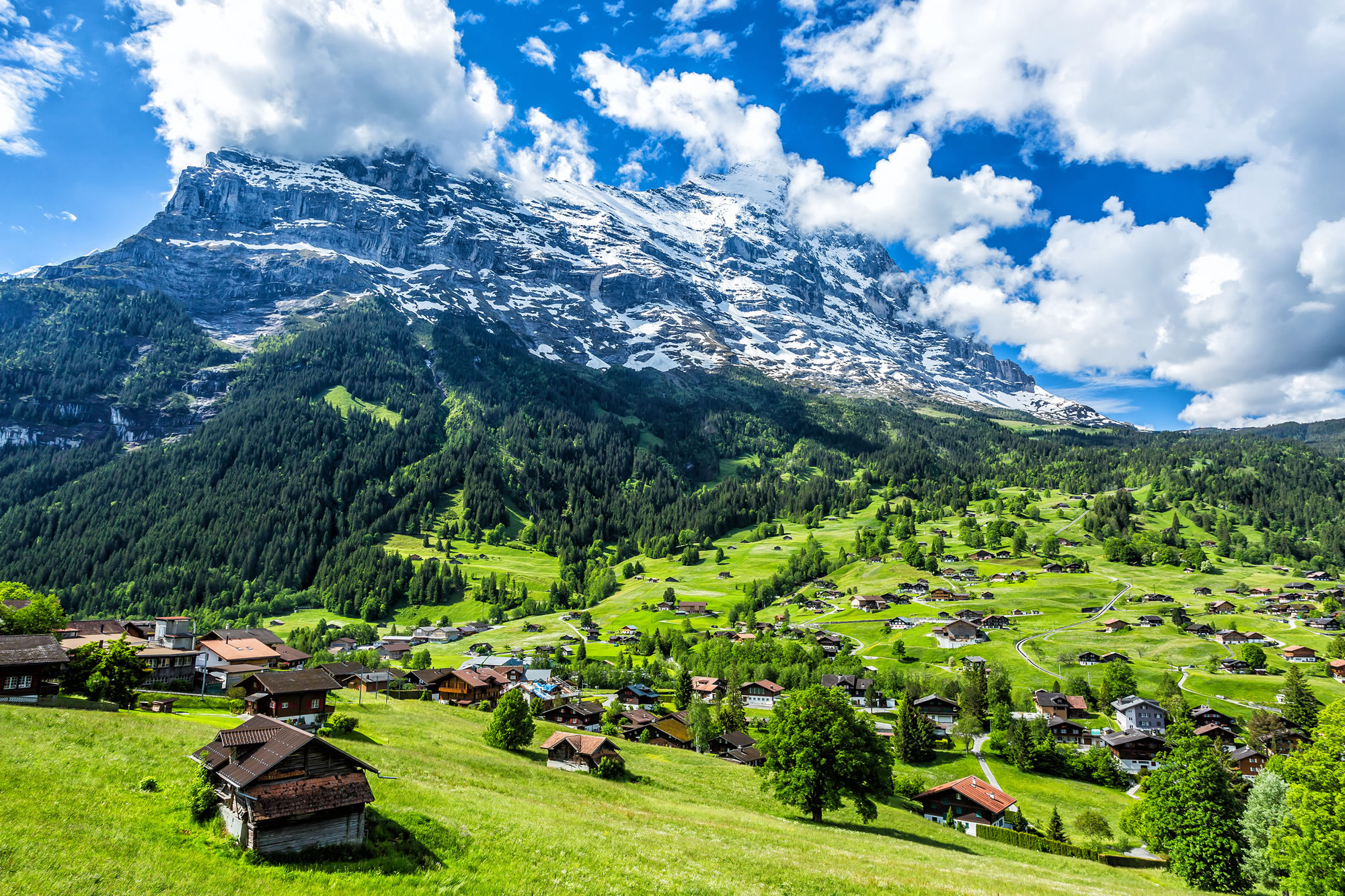 Dark Markets Switzerland