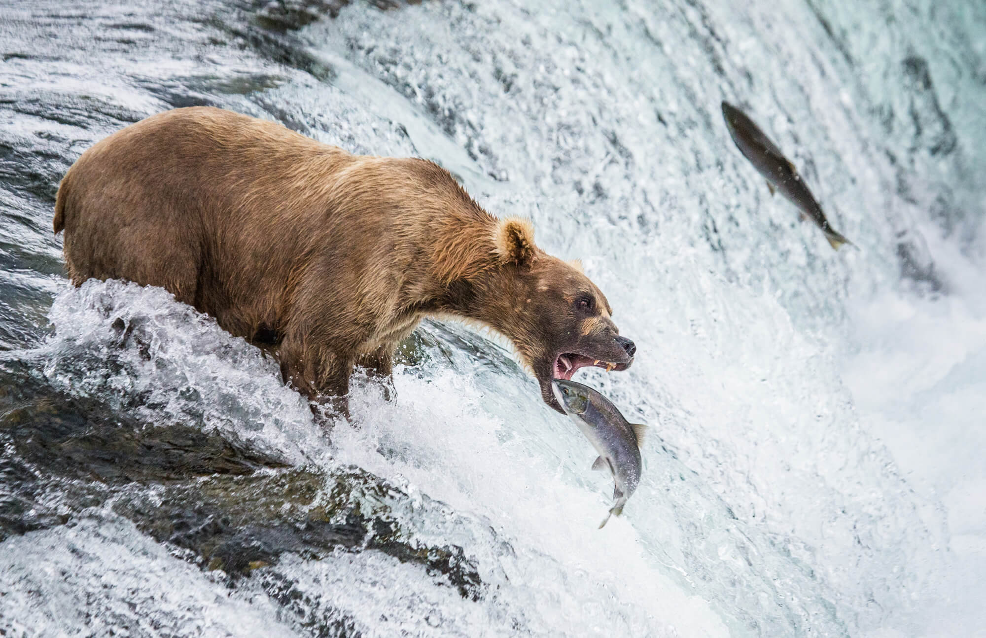 Katmai National Park, Alaska