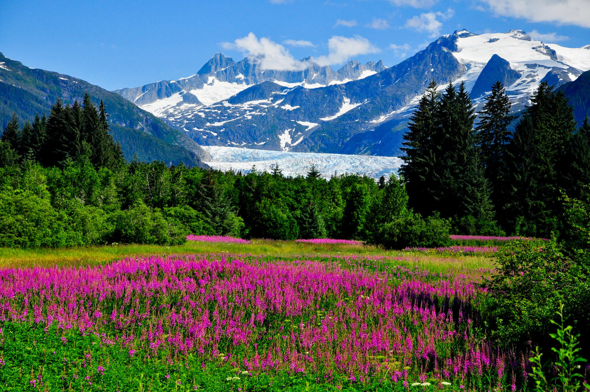 Mendenhall Glacier Viewpoint Alaska