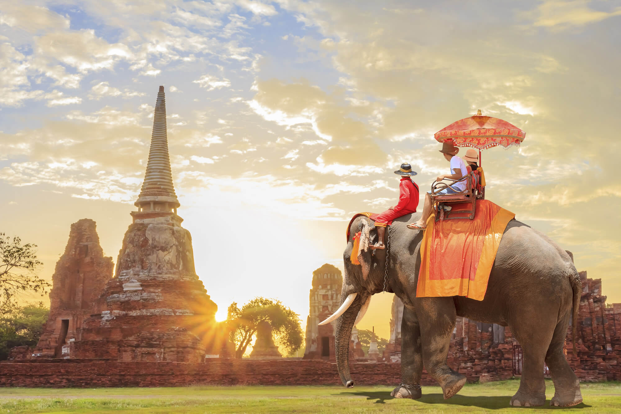 Ride Elephant Tour, India
